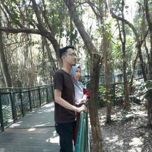 Sendi Aliyandi profile icon