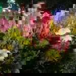 การัณติยา พงษ์รุ่งเรือง profile icon