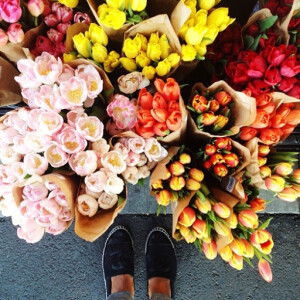 sabrina jefri profile icon