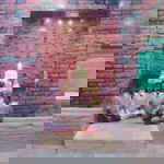 เจ้าขา เจ้าขา profile icon