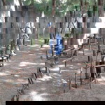 Kegania Widiantina profile icon