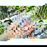 Aenii R. Nisaa profile icon