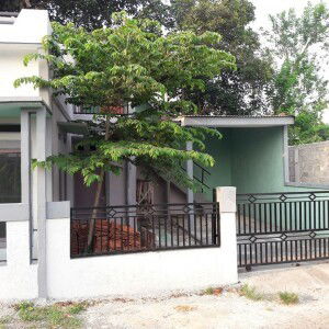 Lolas Salol profile icon