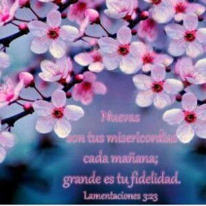 Amriyah Niha profile icon