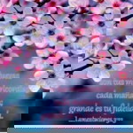 Amriyah Niha profile icon