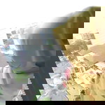 Putri profile icon