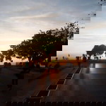 N'Tan Janchum profile icon