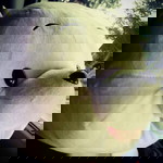 Eileen Lim profile icon