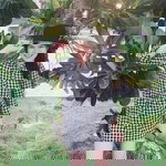 Piyaporn Bee profile icon