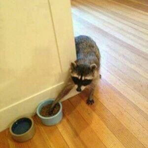 Cherzy Vrouzke profile icon