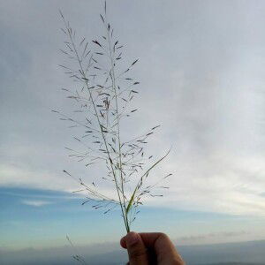 Yulia Novitasari profile icon