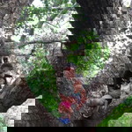 Nyleg Latan profile icon