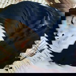 Sulastry Lastry profile icon