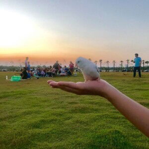 สายธาร profile icon