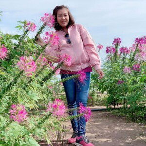 เทพธิดา ฟินาเล่ profile icon