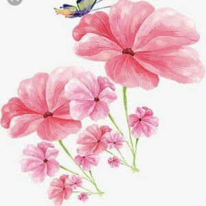 Alfia Zarkasyi profile icon