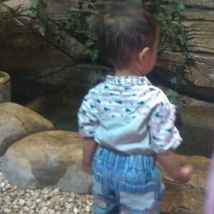 fila lay firyani profile icon