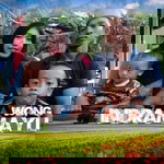 Ai Qurota A'yun profile icon