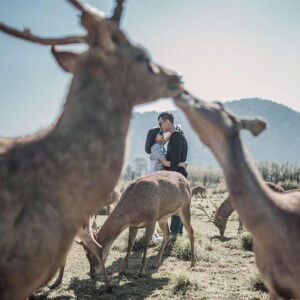 Intan Rossa Putry profile icon