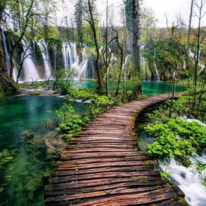 dini wahyuni profile icon