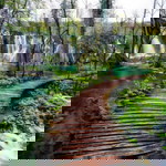 dini wahyuni profile icon