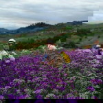 Kulnapa Tunin profile icon