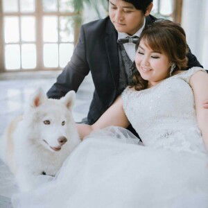 ชาโลวว์ ชิวชิว profile icon