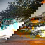 PS Lycan S profile icon