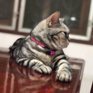Suthatip Pachanapreeda profile icon