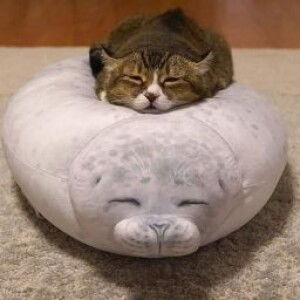 GG 1416 profile icon