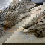 Wannapa Duangwao profile icon