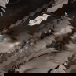 Ericka Valencia Larita profile icon