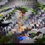 Riska Febrilia profile icon