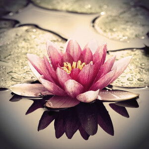 Tassya Nur Annisa profile icon