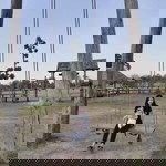 Natthakan Janthudom profile icon