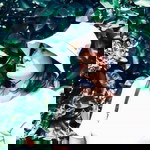 Maeya Maysinee profile icon