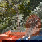 kamolthip tauer profile icon