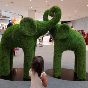 Shebah Grace profile icon