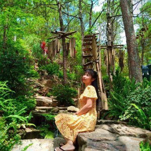 An Nhiên profile icon