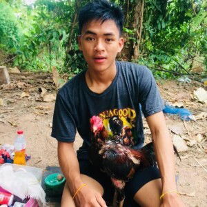 โชคโชว์ ฟาร์ม ไก่ชนสุรินทร์ปราสาท profile icon