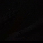 จอ เจน ฟันเหยิ๋น profile icon