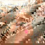 Azmiera Syahrien profile icon