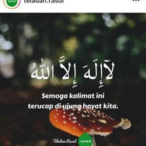 Iis Siti Rohimah Isro profile icon