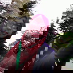 Zaida Wahyudwi profile icon