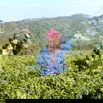 Pharawee Yoojui profile icon