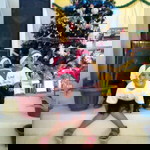 Herly Herly profile icon