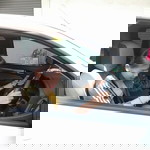 หมู นุ่ม profile icon