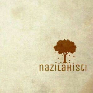 isti nazilah profile icon