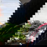 momy sha profile icon