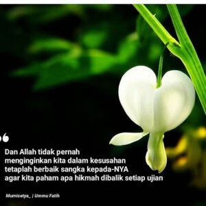 white Rahmadhan profile icon